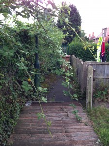 2014 08 17 Marchwood Back Alley